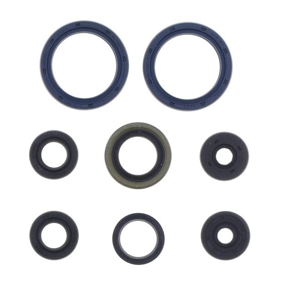 P400250400069 ATHENA gasket kit oil seal