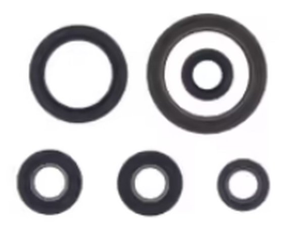 P400270400093 ATHENA gasket kit oil seal