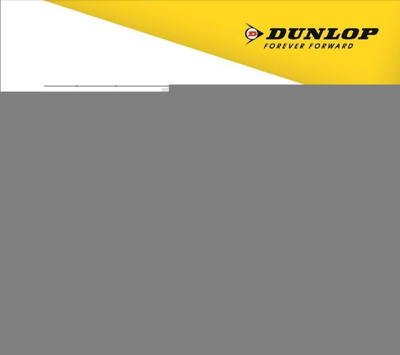 DUNLOP inner tube 16" valve tr4