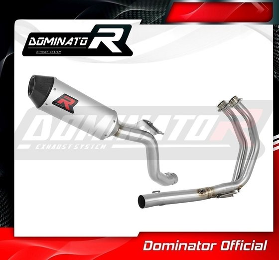 YA139DESF-S Dominator full exhaust system silencer mx2