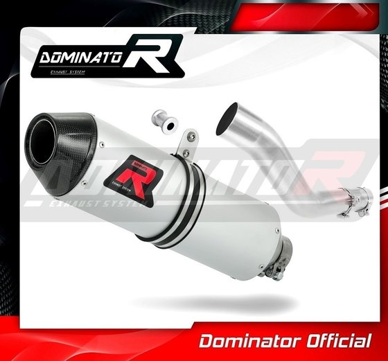 KA039DE-S Dominator exhaust silencer mx2