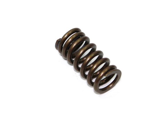 XU-09526ES NACHMAN exhaust valve spring