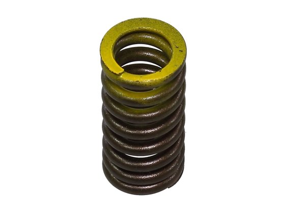 XU-09503ES NACHMAN exhaust valve spring