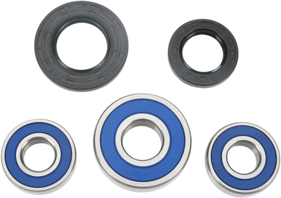 25-1269 All Balls wheel bearing kit rear