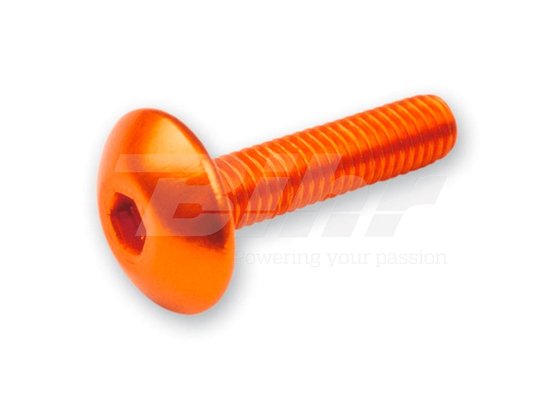 VICMA fairing screws