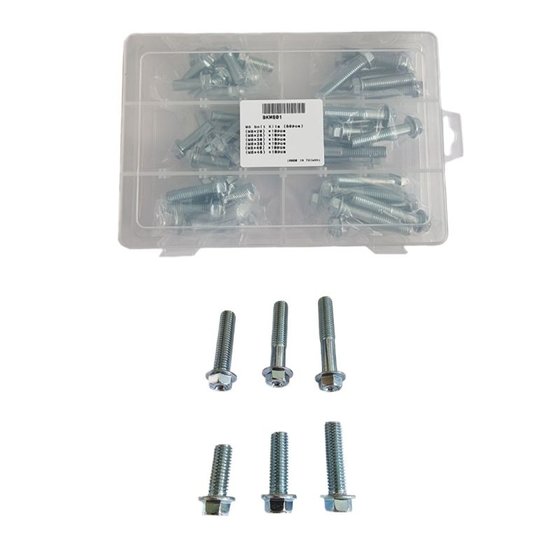 ACCEL flange bolts set