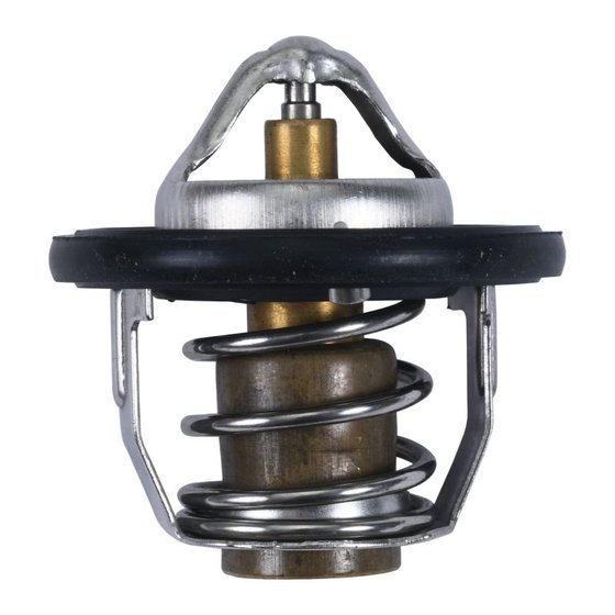 16-3005 All Balls thermostat for polaris