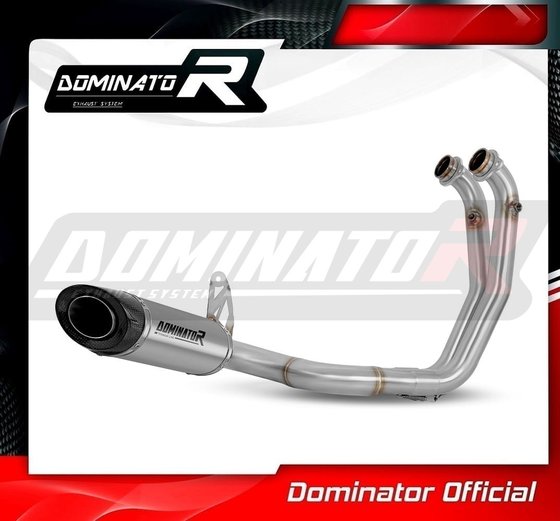 AP042DFT-S Dominator full exhaust system silencer titanium hp8