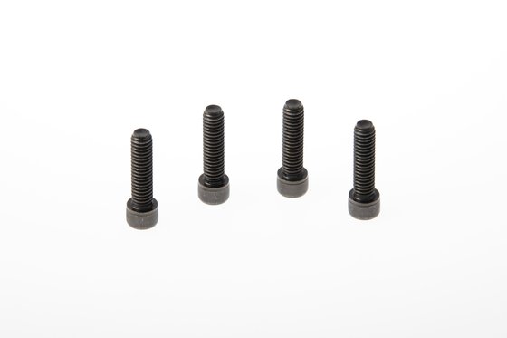 HD-SPO109 CULT WERK fender screws xl