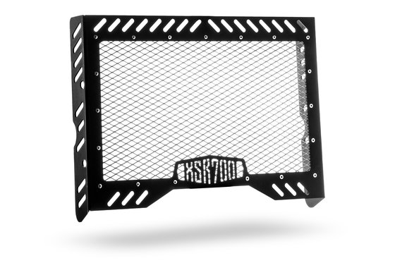 RG-YXSR-B C-RACER radiator guard for xsr