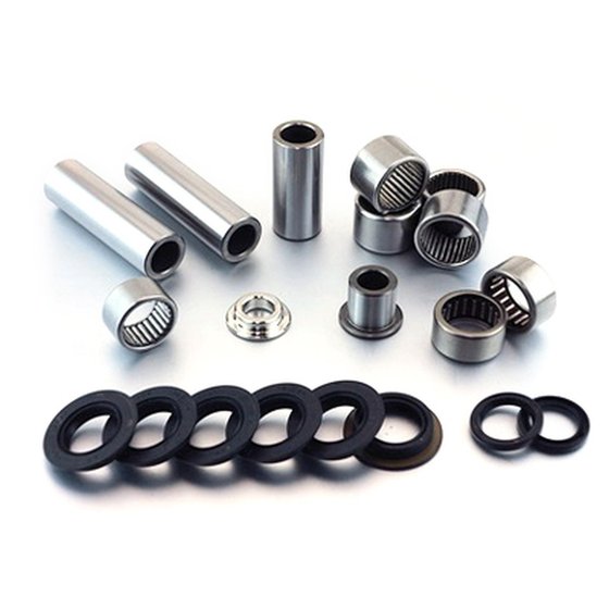 SAL50001 BEARING WORX swingarm linkage bearing kit