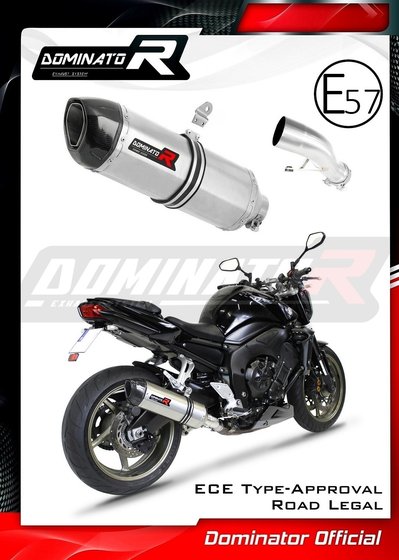 YA020DF-H Dominator homologated exhaust silencer hp1