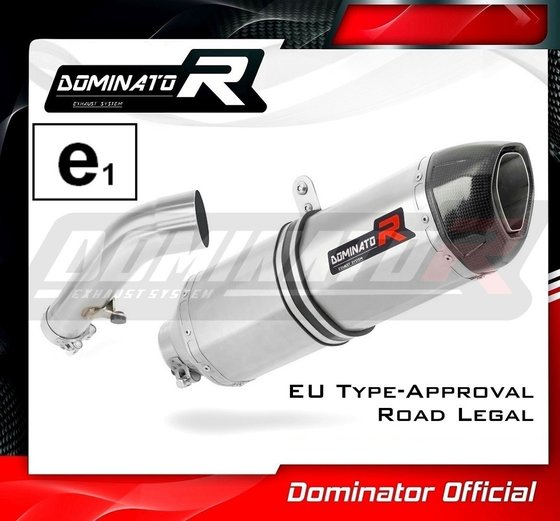 BW015DF-H Dominator homologated exhaust silencer hp1