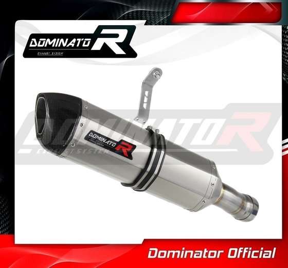 BW061DF-H Dominator homologated exhaust silencer hp1