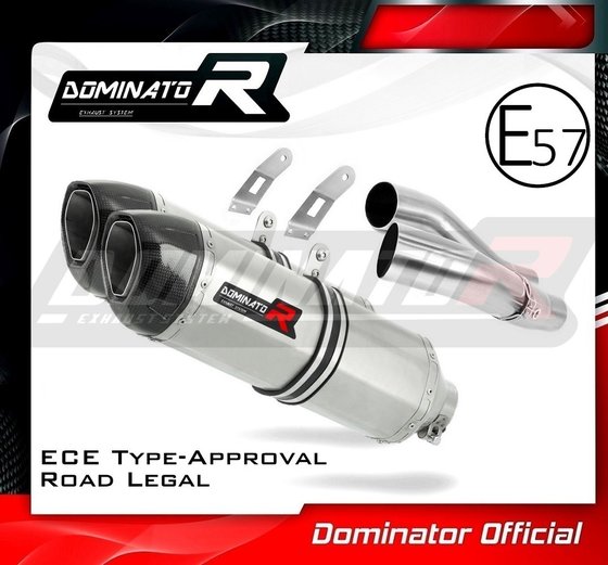 KA066DF-H Dominator homologated exhaust silencer hp1