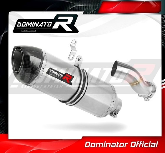 BW078DF-H Dominator homologated exhaust silencer hp1