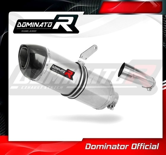 YA021DF-H Dominator homologated exhaust silencer hp1