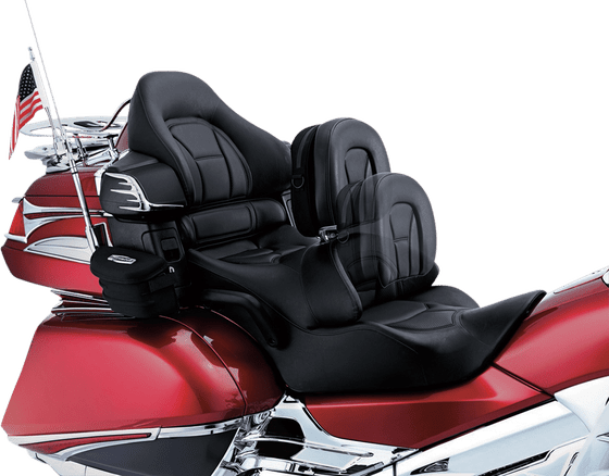 8931 KURYAKYN backrest plug-n-go driver