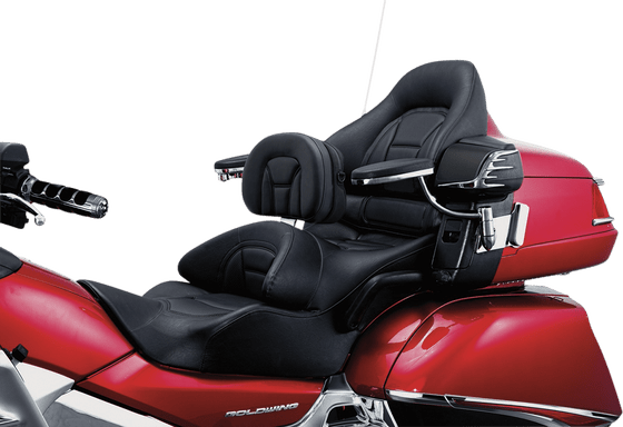 8931 KURYAKYN backrest plug-n-go driver