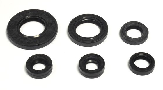 P400485400157 ATHENA oil seal set