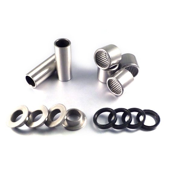 SAK50013 BEARING WORX swingarm bearing repair kit