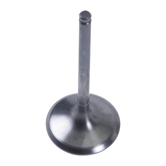 8400024-2 Hot Cams intake valve titanium