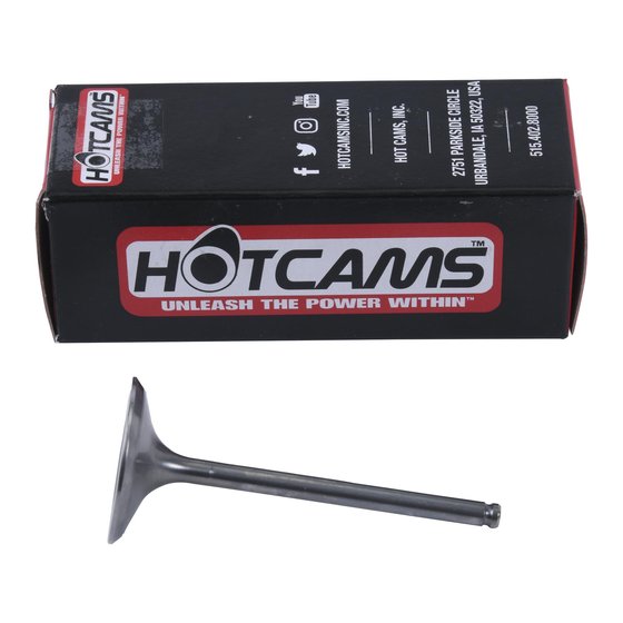 8400024-2 Hot Cams intake valve titanium