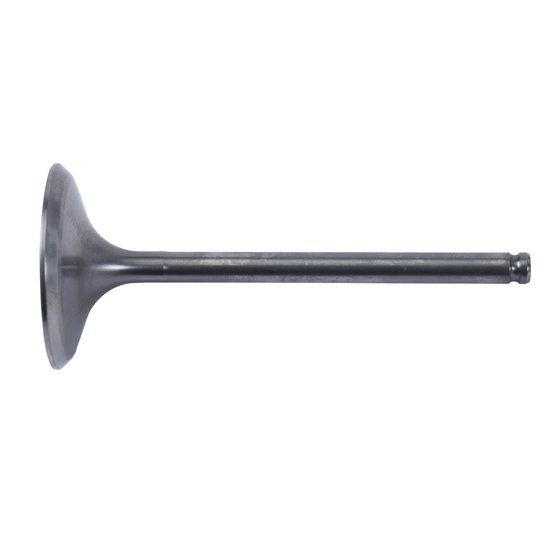 8400024-2 Hot Cams intake valve titanium