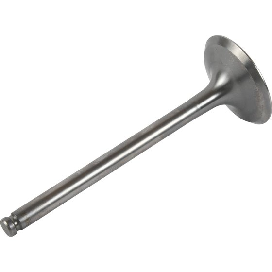 8400024-1 Hot Cams exhaust valve titanium