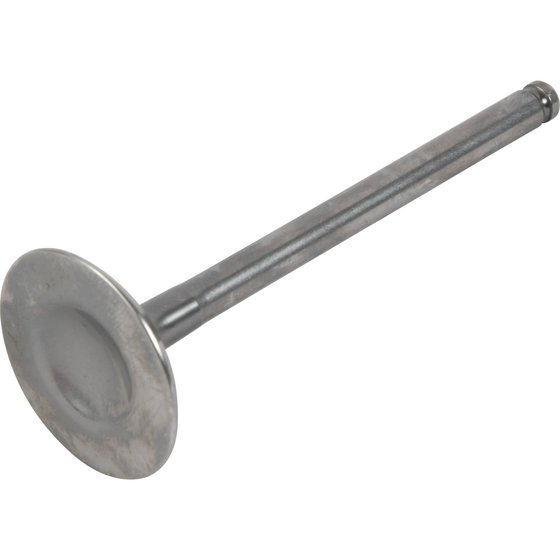 8400024-1 Hot Cams exhaust valve titanium