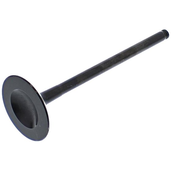 HC00030 Hot Cams exhaust valve steel