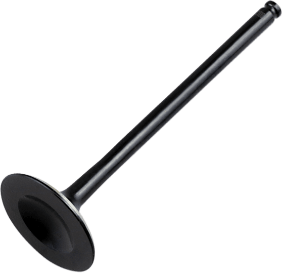 HC00030 Hot Cams exhaust valve steel