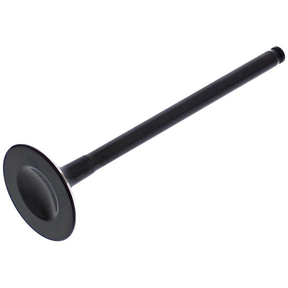 HC00038 Hot Cams exhaust valve steel