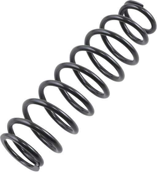 WE321450 EPI front suspension spring kit