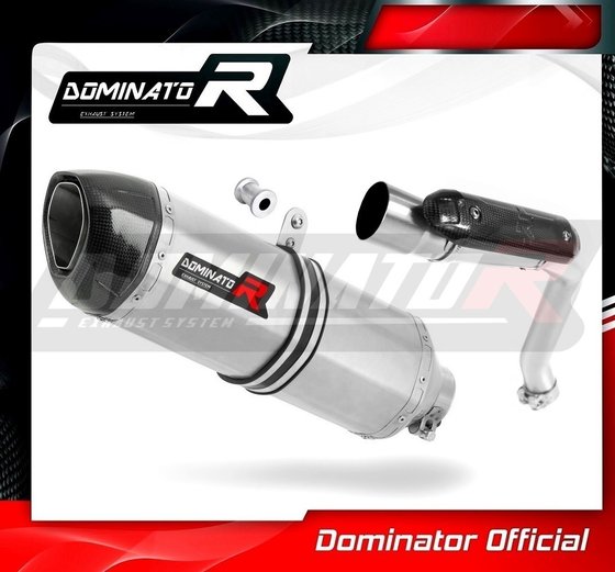 HO030DF-H Dominator homologated exhaust silencer hp1