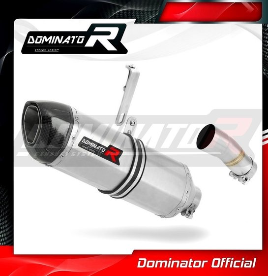 YA082DF-S Dominator exhaust silencer hp1 rn32