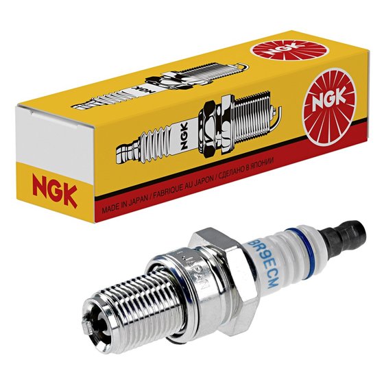 13-3252 NGK ngk sparkplug br9ecm