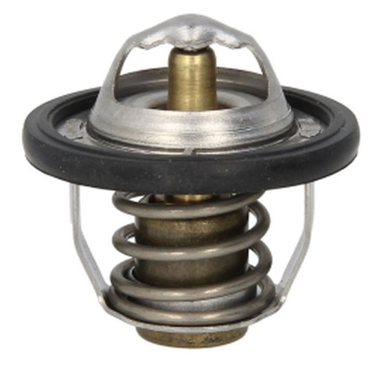 TMT-302 Tourmax thermostat