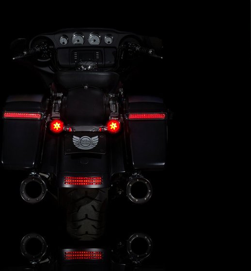 PB-RR-JAE CUSTOM DYNAMICS turn signal pro for fxse