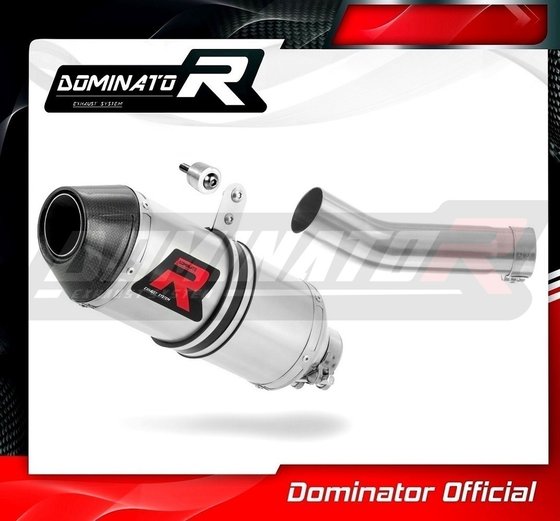 TR013DF-S Dominator exhaust silencer hp3