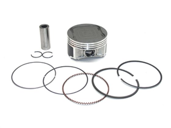 NA-50004-6 NAMURA piston