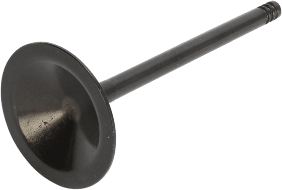 20-20260 KIBBLEWHITE nitrided valve