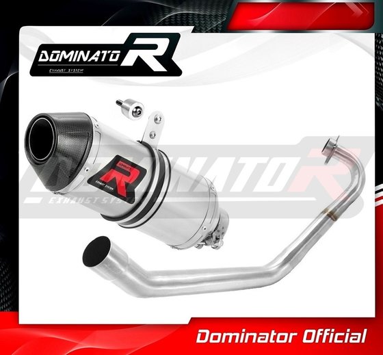 YA073DF-S Dominator exhaust full system silencer hp3