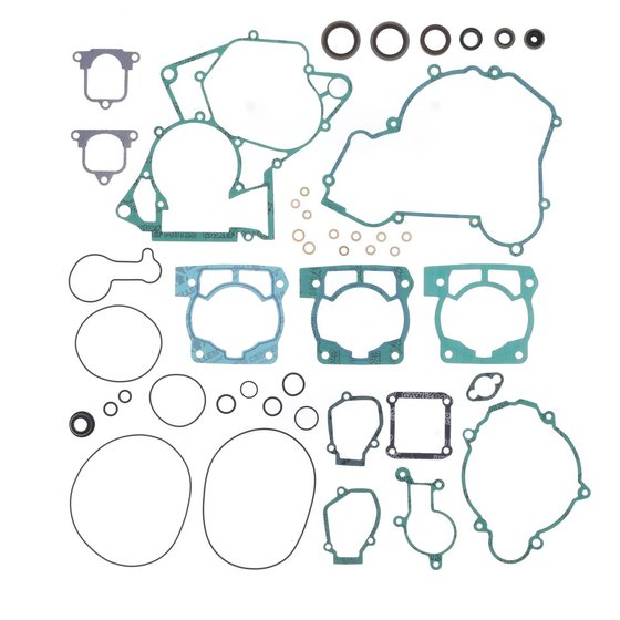 P400060900013 ATHENA gasket set (with oil seals)