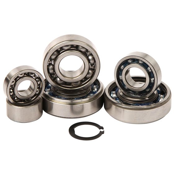 TBK0036 Hot Rods transmission bearing kit