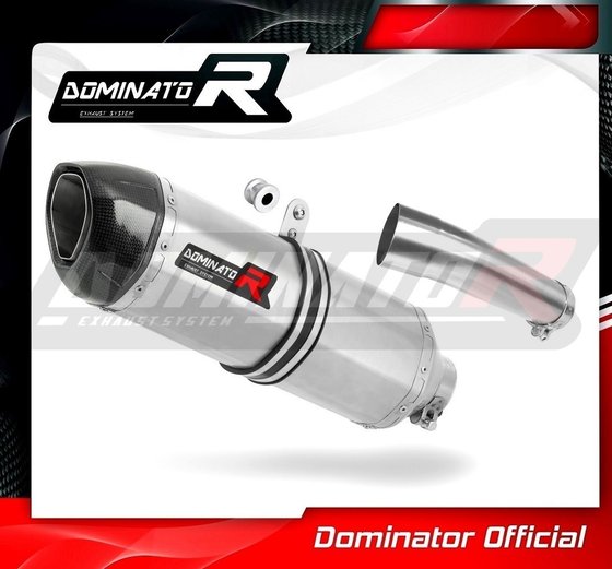 SU013DF-S Dominator exhaust silencer hp1