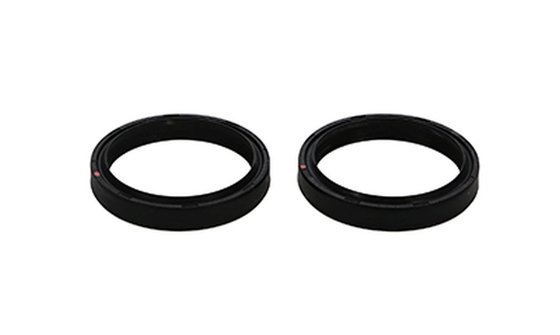 40.F48589.4 ProX fork seal set