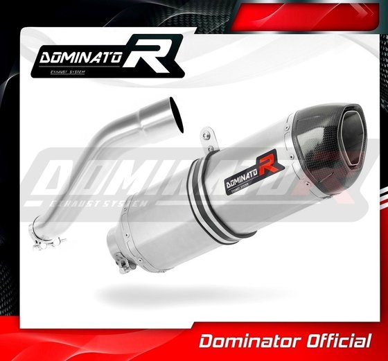 BW037DF-S Dominator exhaust silencer hp1