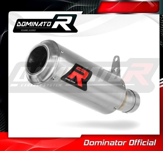 YA122DC-S Dominator exhaust silencer gp