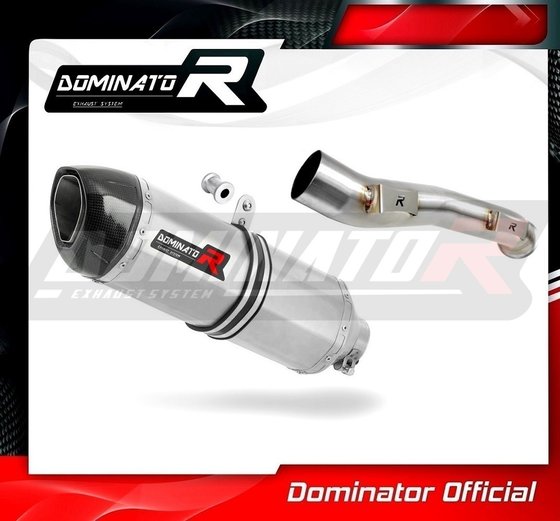 KT069DF-S Dominator exhaust silencer hp1